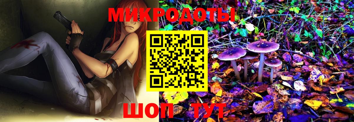 Ессентуки  где продают   Псилоцибиновые грибы MAGIC MUSHROOMS  Вход с VPN  Галлюциногенные грибы Psilocybe 